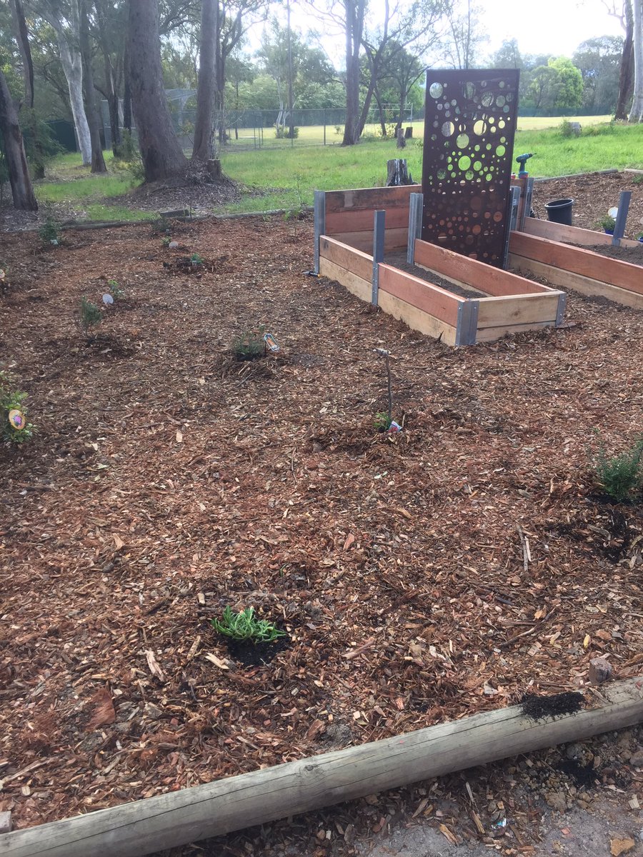 worimi_warrior's tweet photo. And that’s a wrap for this weeks collaboration with @Dawe4Peter for the #YouthCommunityGreening &amp; #AboriginalPrograms Outreach.
Great start to the garden at #MorissetHS today! https://t.co/v3dnKbPKw9