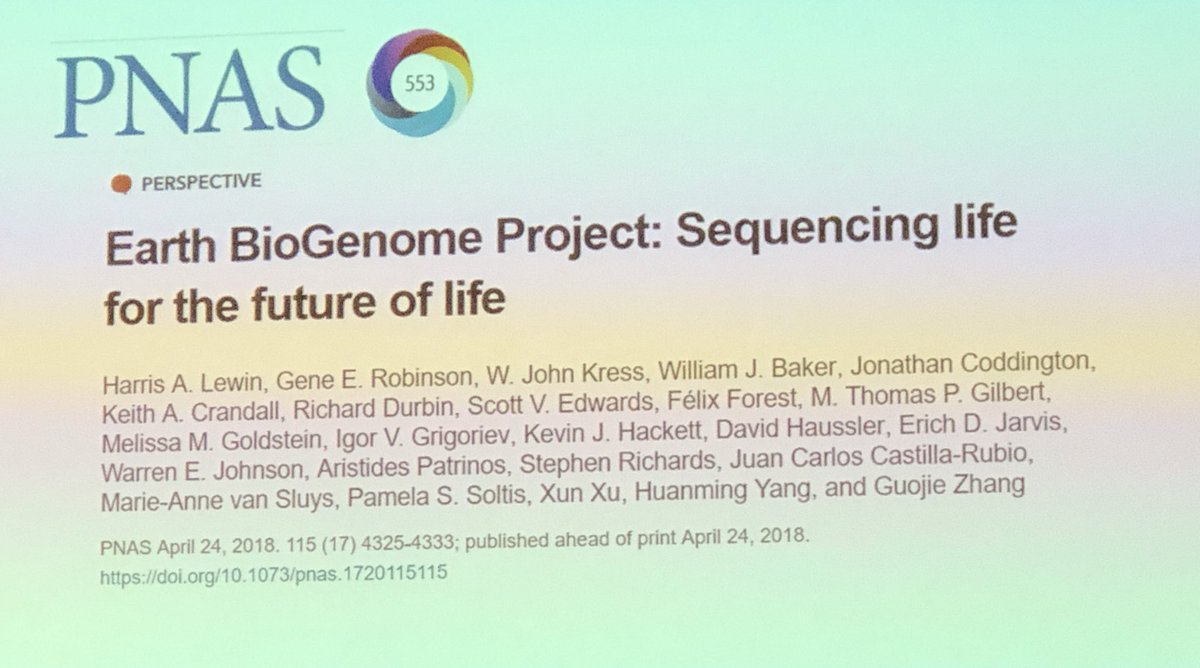 evodevogenomeUB's tweet image. Harris E Lewis starts introducing the superambitious #EarthBiogenomeProject to sequence🧬 all organisms on the Planet🌍🌾🐾🐠🦐🦠
Cost=4.7 billions (human genome was 5.4) 
#GenomicsForBiodiversity #Biogenoma
@SCBcat @iec @IBE_Barcelona @GeneticsUB @IRBioUB
