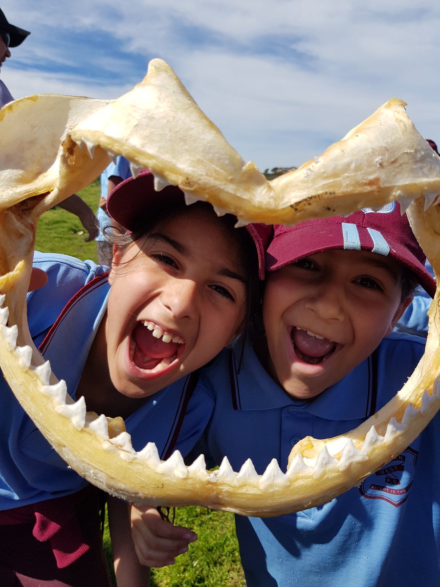 Cecilia Turrin (@ceciliatran25) on Twitter photo 3/4T and year 4 learning about the aboriginal way of life before European settlement. They were even brave enough to brush their teeth with charcoal! <a href="/AuburnWestPS/">AuburnWestPS</a> 3/4T and year 4 learning about the aboriginal way of life before European settlement. They were even brave enough to brush their teeth with charcoal! <a href="/AuburnWestPS/">AuburnWestPS</a>