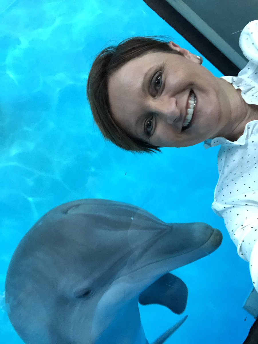 drludesouza's tweet photo. Aim high, work hard, be kind... ‘Cause the Dolphins 🐬 are watching 😂 @Cerner #CernerPLC19 @RileyChildrens #gopeds https://t.co/r7MV2CPtzp