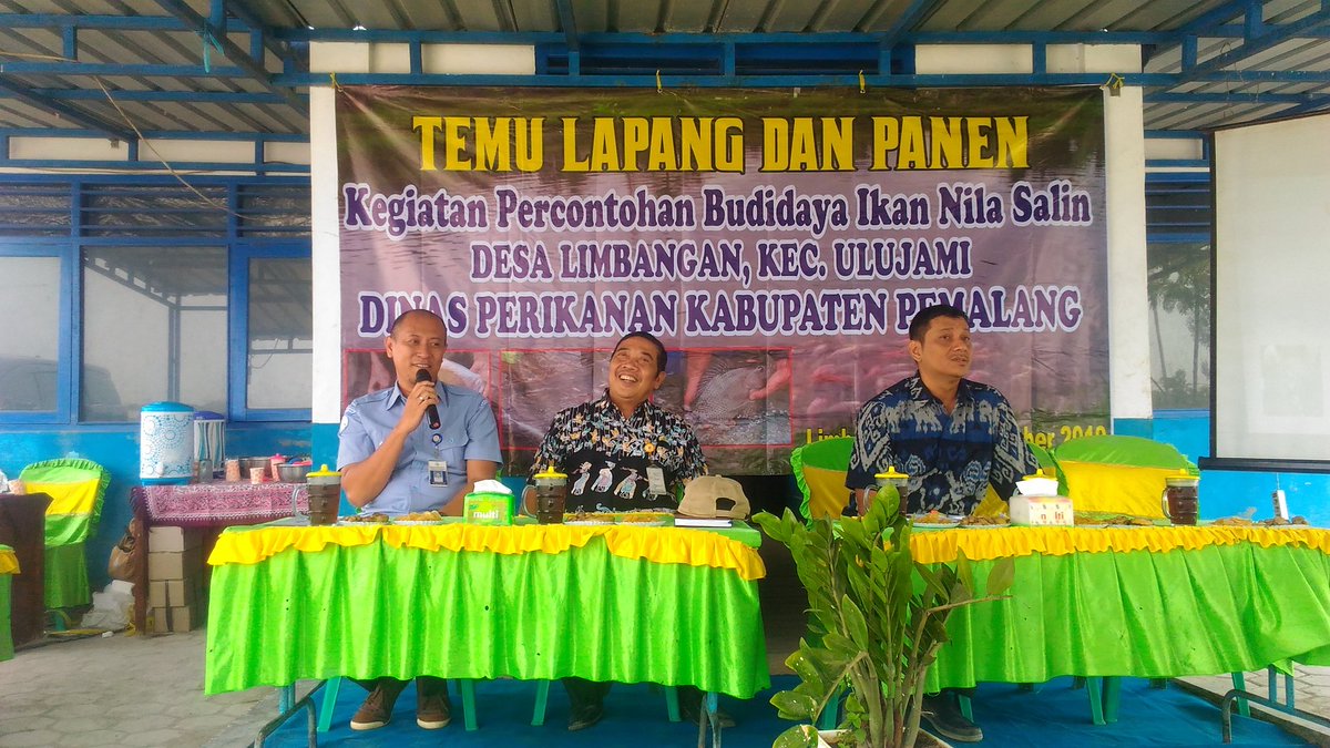 indrawan_ady's tweet photo. Temu lapang &amp; panen keg. Percontohan budidaya ikan nila salin di Desa Limbangan Kec. Ulujami Kab. Pemalang besama dengan para pelaku usaha perikanan budidaya @disperik_pml @puslatluhkp @BRSDM_bp3tegal @susipudjiastuti https://t.co/i9nB8SIbTe