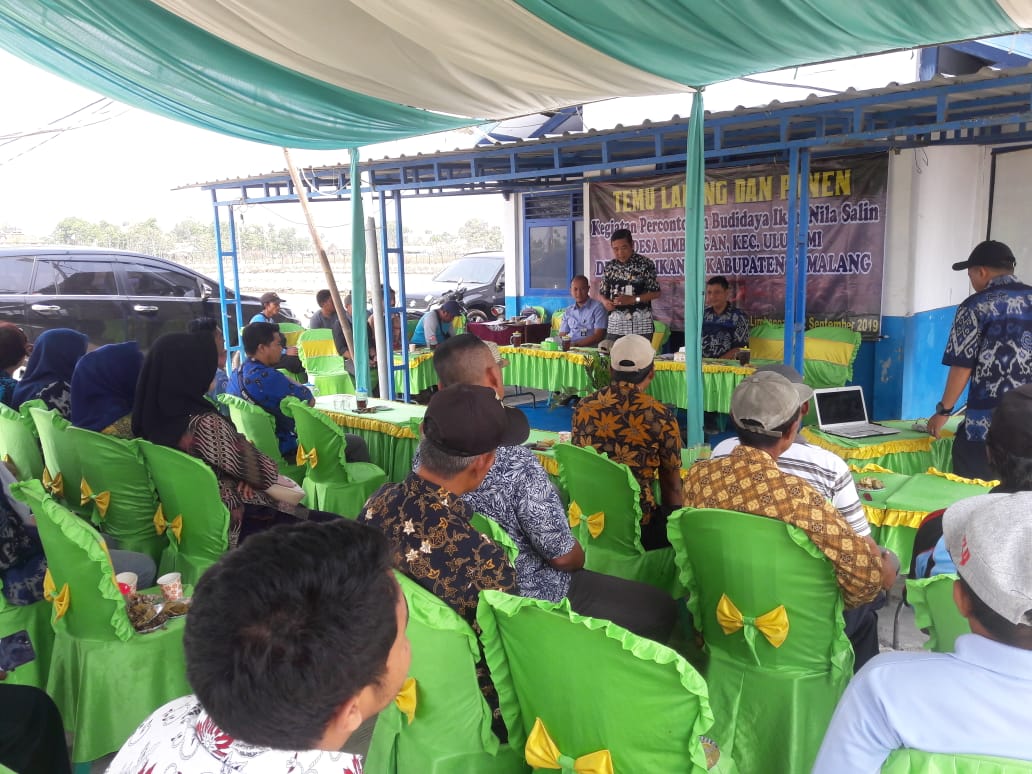 indrawan_ady's tweet photo. Temu lapang &amp; panen keg. Percontohan budidaya ikan nila salin di Desa Limbangan Kec. Ulujami Kab. Pemalang besama dengan para pelaku usaha perikanan budidaya @disperik_pml @puslatluhkp @BRSDM_bp3tegal @susipudjiastuti https://t.co/i9nB8SIbTe