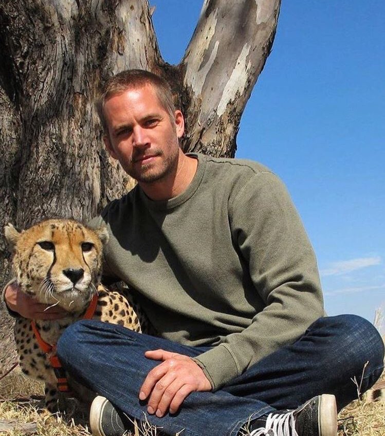 HotFreestyle's tweet photo. Paul Walker would’ve been 46 years old today, Happy Birthday &amp; Rest in Peace 🙏🏽

(September 12, 1973 - November 30,  2013) https://t.co/QzbSh1oSU4