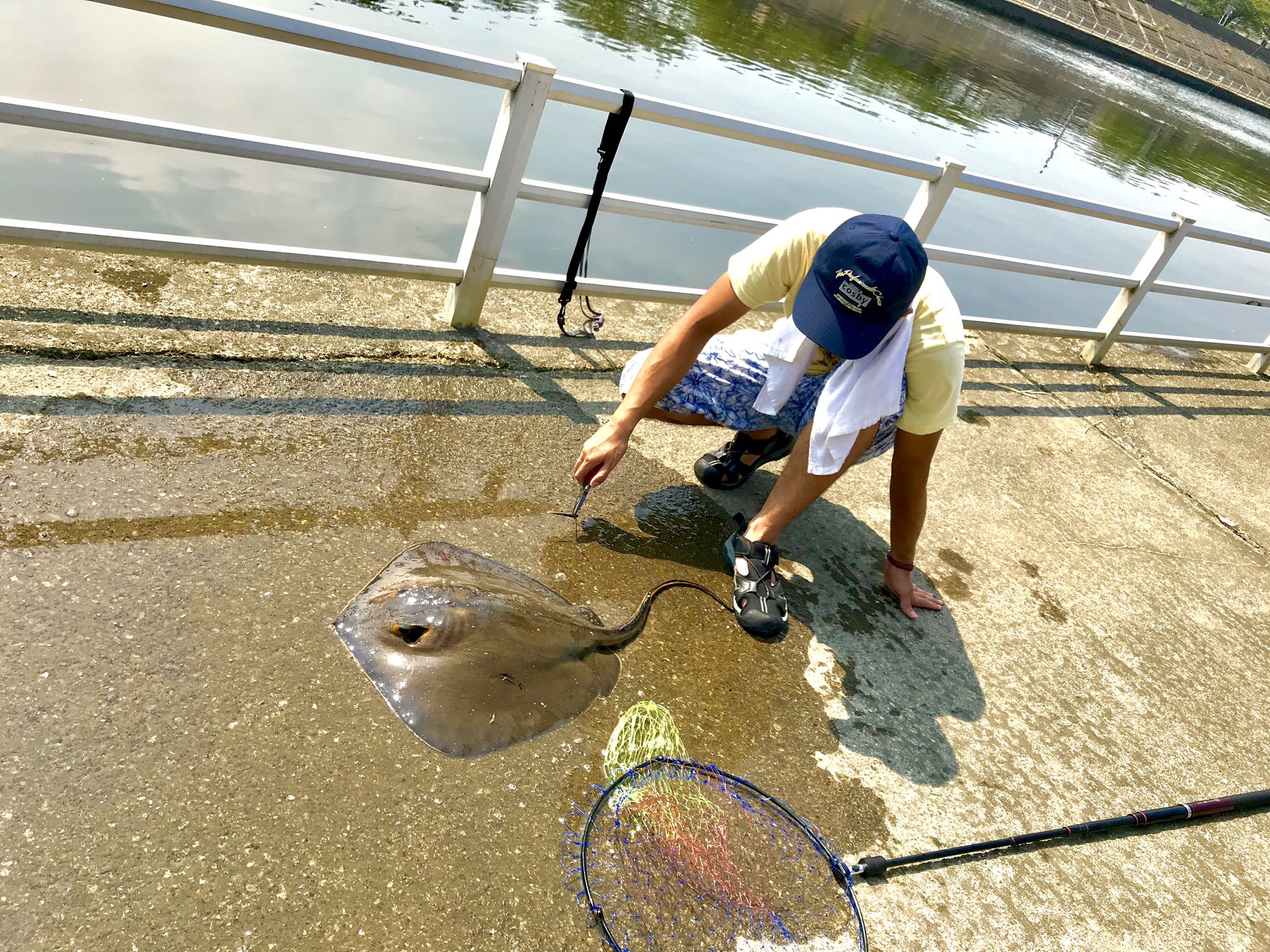 すがい 昨日釣りサーの面々と千葉県浦安市境川河口付近へエイ釣りに行ってきまして 釣果はアカエイ4匹ハゼ数十匹でした またこの釣行はこばたついてこそなので彼に感謝を T Co Gjpcpw5yav Twitter