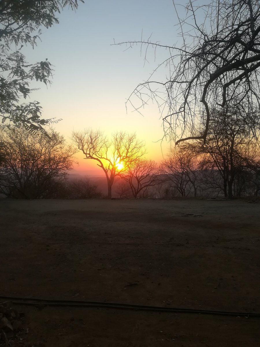 I love waking up to gorgeous sunrises and then going back to sleep after that. 😁😁 #Sunrise #Newdayhascome #Ariseandshine #WOW #VisitZimbabwe #IloveZimbabwe #TheycallitAfrica #TravellingHeifer