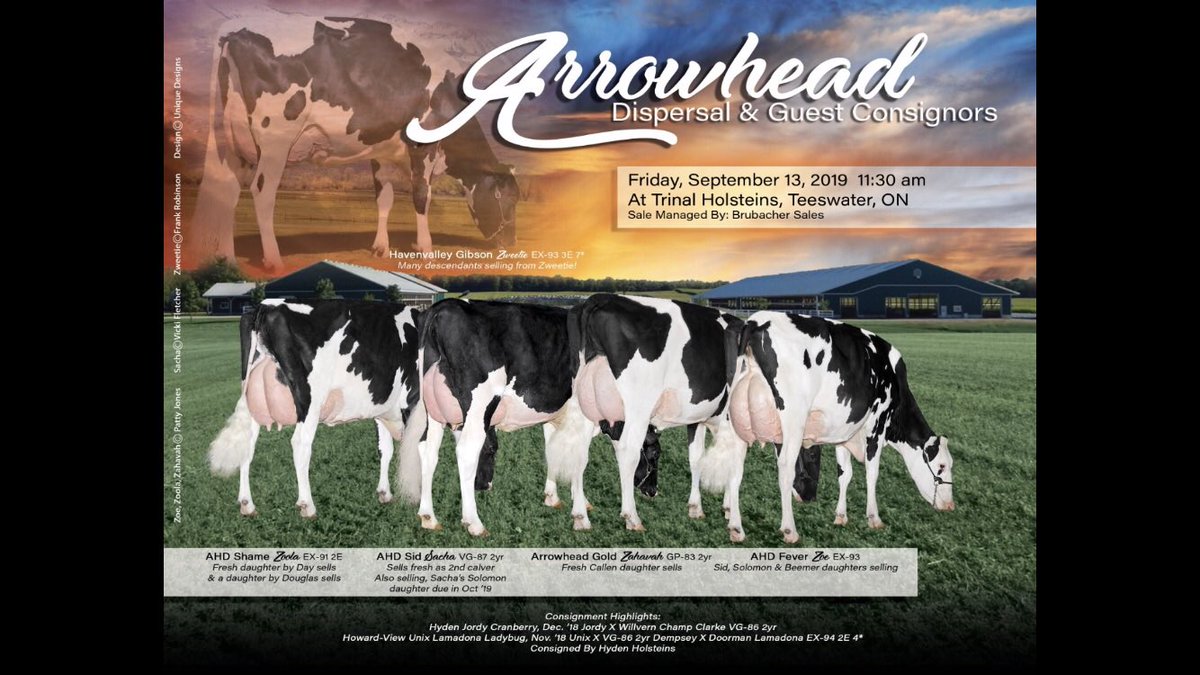 If you are in need of milk or some good heifers , then come on out to this sale at our farm this friday .