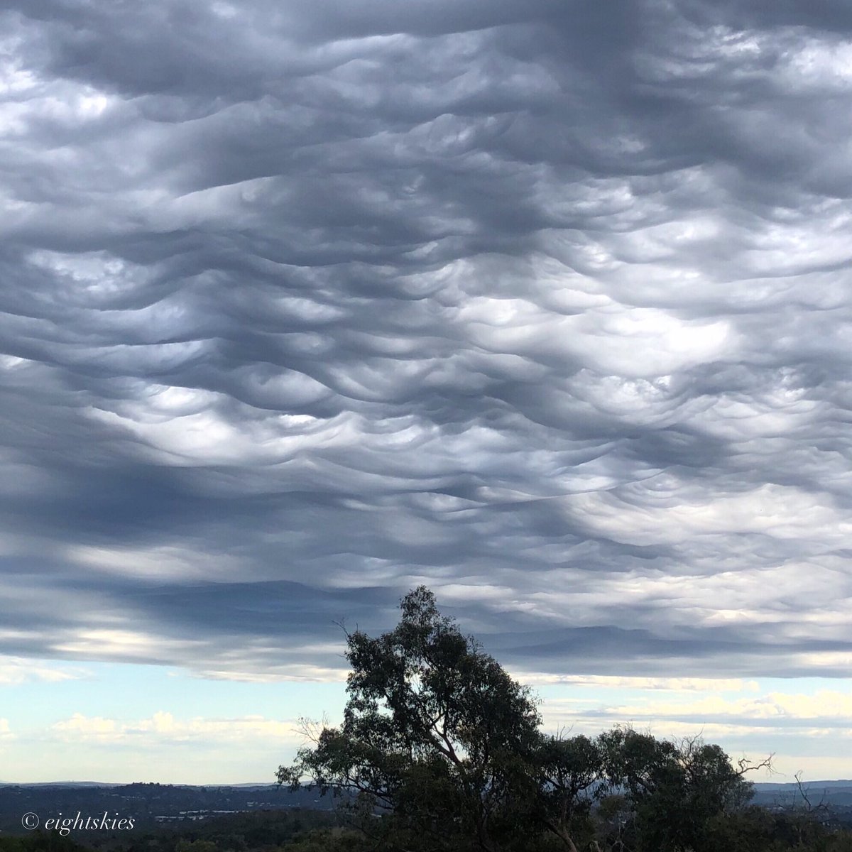 8 Skies Photography (@eight_skies) on Twitter photo More of Asperitas clouds passing over The Basin this morning #melbweather #9newsmelb #melbourne #clouds
<a href="/VicStormChasers/">Victorian Storm Chasers</a> More of Asperitas clouds passing over The Basin this morning #melbweather #9newsmelb #melbourne #clouds
<a href="/VicStormChasers/">Victorian Storm Chasers</a>