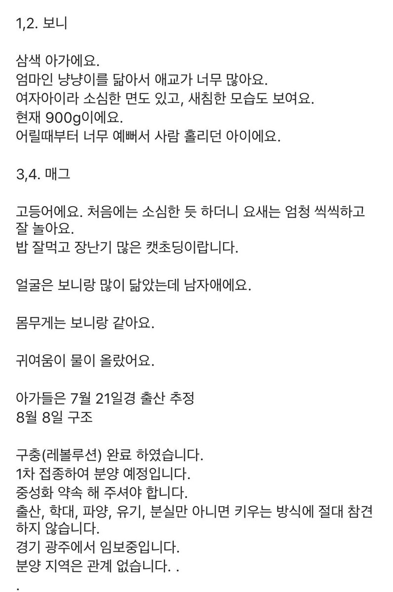 아가들 입양처 찾아요. 털뭉치 막내를 입양하실 계획이 있는 분들은 유심히 봐주세요🙏🏻 타래로 계속 instagram.com/p/B2QhXtWHmSq/…