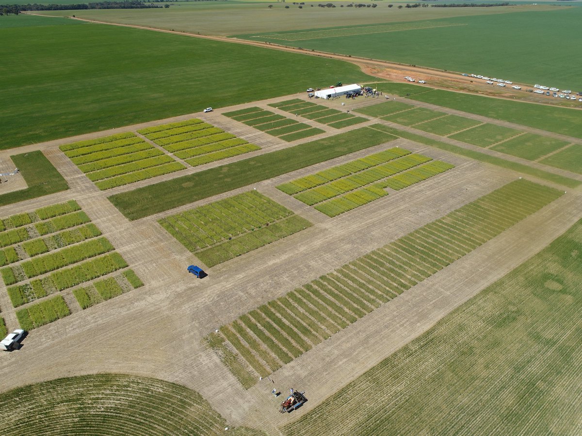 CSBPfertilisers's tweet photo. At the @LiebeGroup Spring Field Day today! #CSBPFertilisers #CSBPdiscovermore https://t.co/seX7o0mIk0