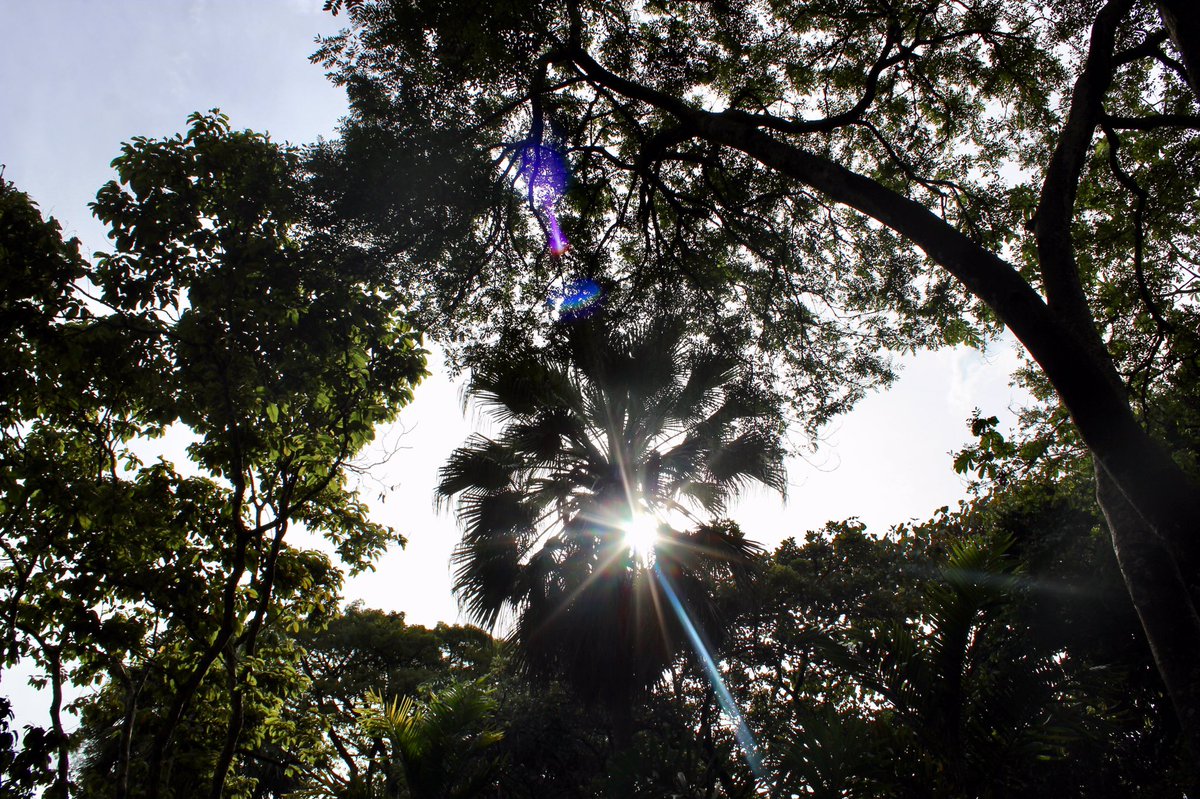 Magnificent Colombia tweet media