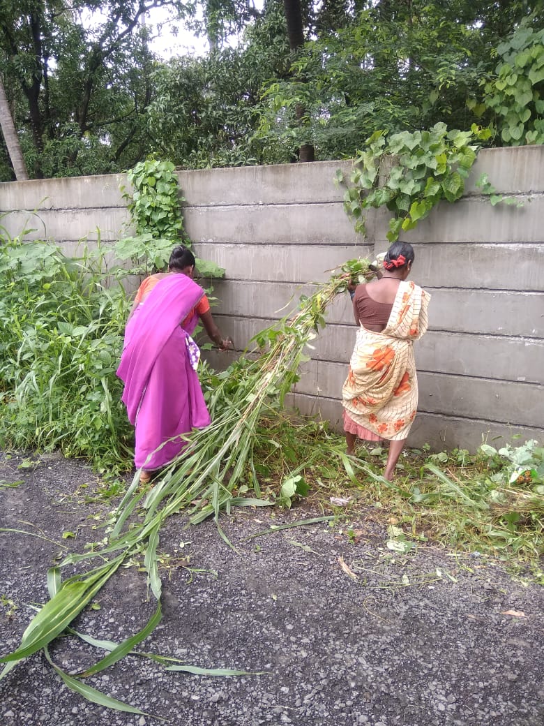 Pariyari Group Gram Panchayat tweet media