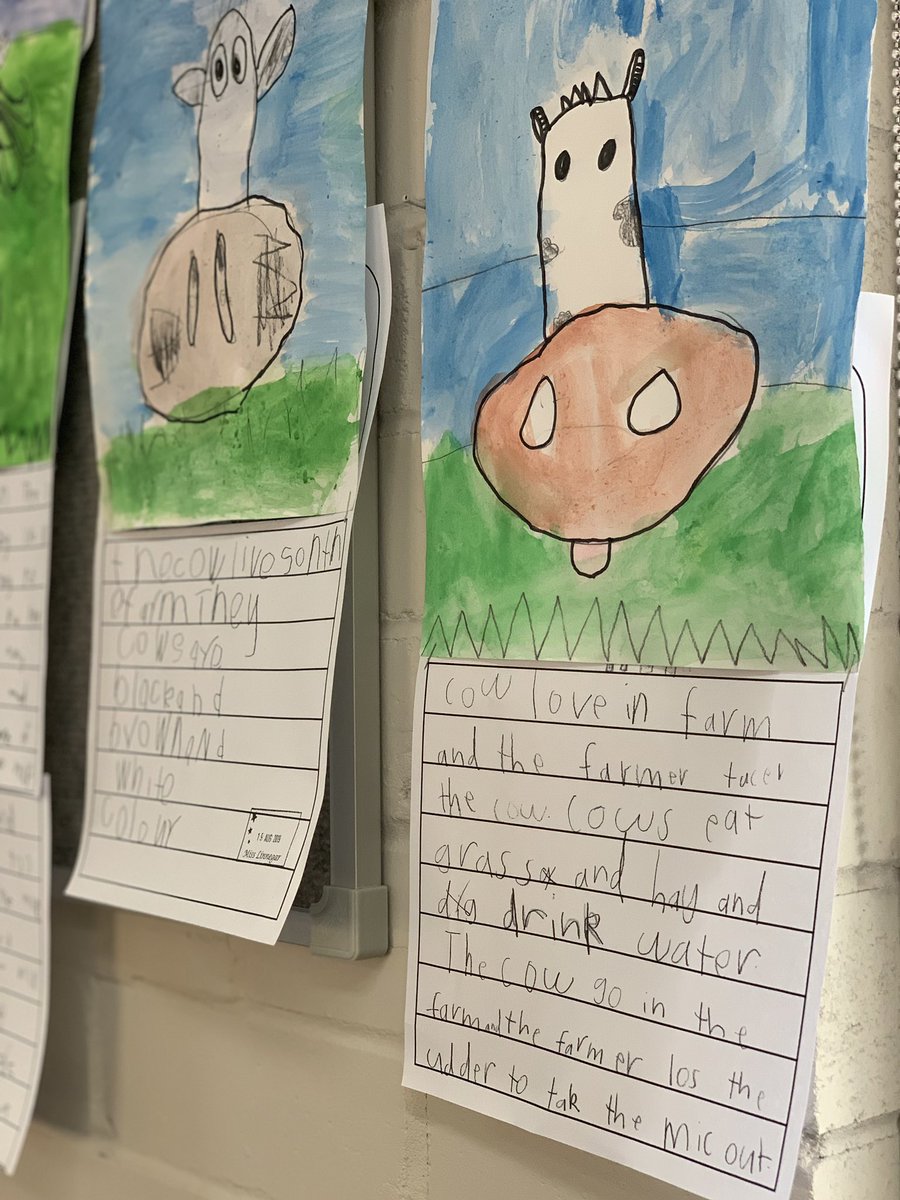 Another fantastic day in Kindergarten classrooms, this time with the reflective Kindy team at <a href="/FairWestPS/">Fairfield West PS</a> whose quality learning environments are really helping to support student early literacy acquisition. Wow! Thanks for having me! #Literacy #EAfS #L3 #ValueKidsLearning