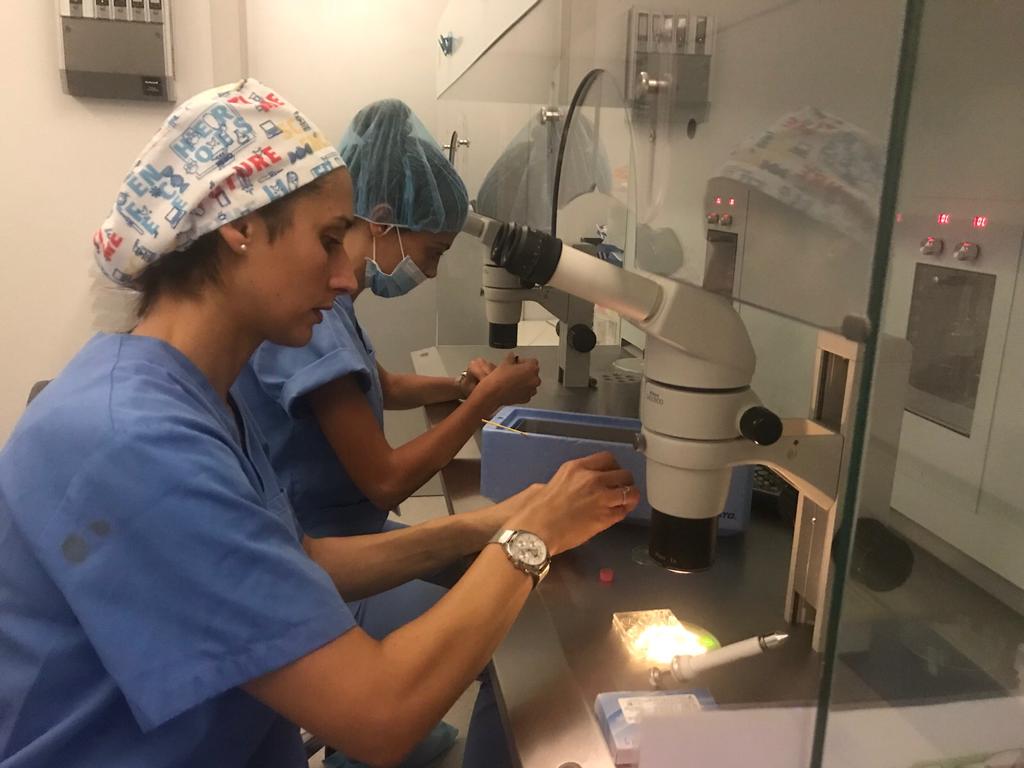 KitazatoIVF's tweet photo. Our adventure in Bilbao isn't over yet! Yesterday we visited iGin clinic in Bilbao where we held a workshop with the #IVFheroes there! ❤️💙

#KitazatoWorkshops #kitazatoIVF #Embryology #IVFTraining #IVFLab https://t.co/nwbzPWjcep