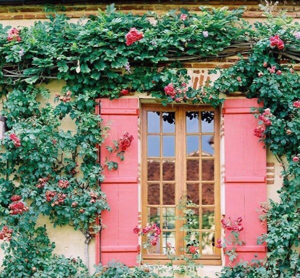 " اخلق الاشياء الجميلة داخلك ، حتى تستطيع أن تمنحها لمن حولك "🌸🌿