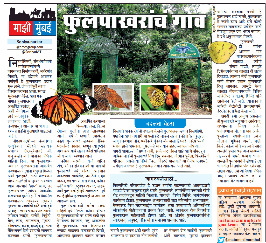 matamazimumbai's tweet photo. मुंबईत नव्याने उभे झालेले फुलपाखरांचे गाव... जगण्याची उमेद देणारी मायानगरी 'माझी मुंबई'.... @MumbaiTimesMT @MumbaiMT @mataonline @PashokMT @ParagKMT https://t.co/VX6N8RLo3F