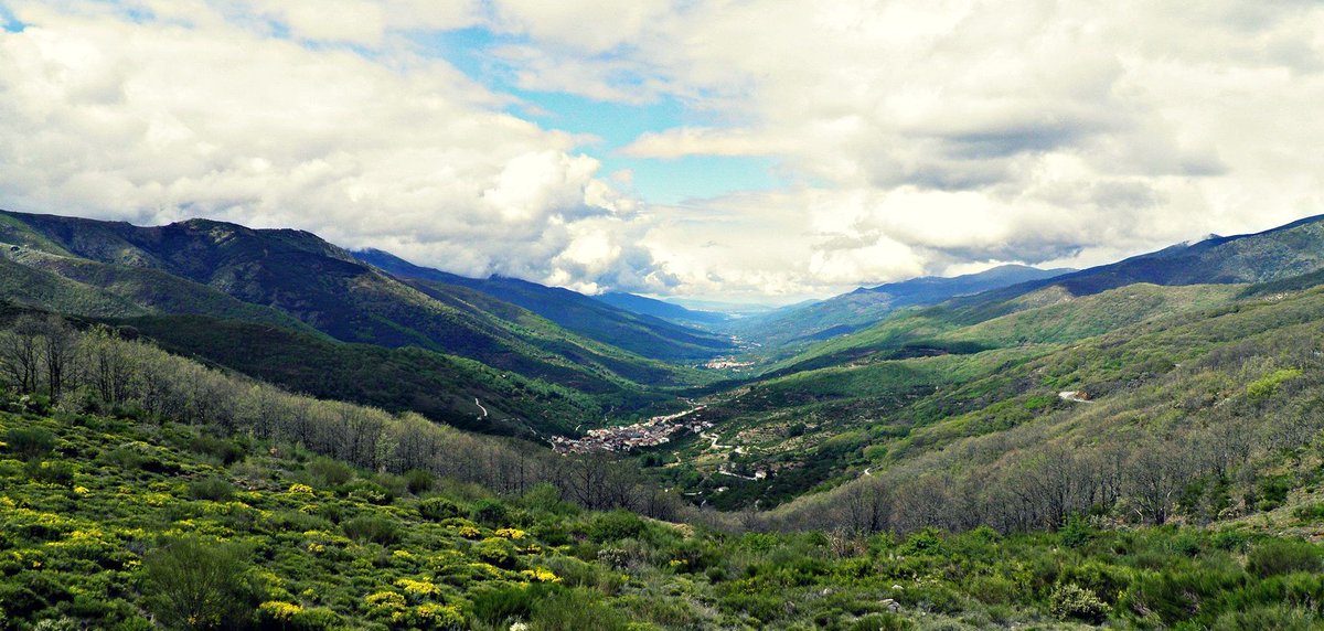 Mayorga RockFest tweet media