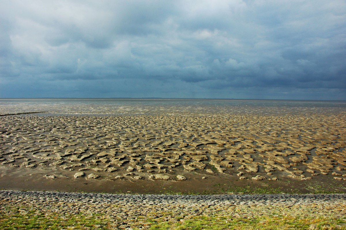 IADCDredging's tweet photo. New article:
The #Mud Motor: A beneficial use of dredged sediment to enhance salt marsh development.
Read the article: https://t.co/GZDMsvQcBv
Authors: Erik van Eekelen (#vanoord, @EcoShapeBwN), @MartinBaptist (@WUR)
#dredging #iadc #terraetaqua #mudmotor #co2footprint https://t.co/t3RaTwchH1