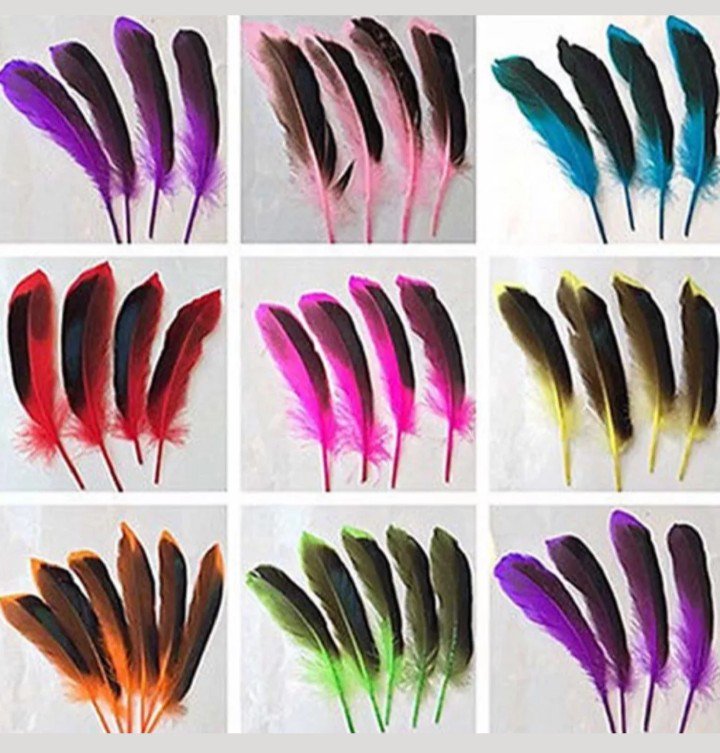 Two Tone Beautiful Duck Feathers
#feathers #duckfeathers #crafts #fashion
