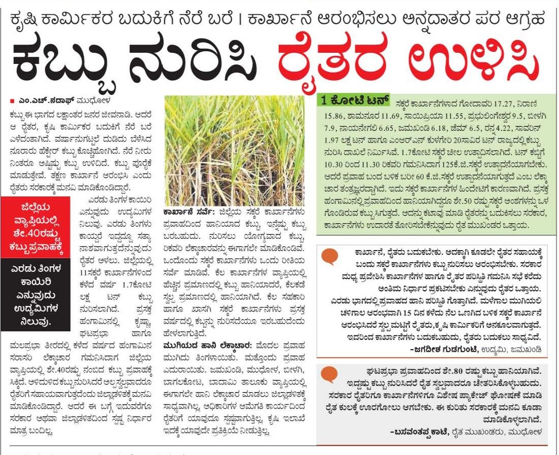 UmeshaTweetsAKB's tweet photo. #flood hit area farmers in Bagalkot dist farmers demand to crush sugercane early to get good yield..story in @Vijaykarnataka by @MHNADAF2 @editor_vk @HRMMCL_VK @CMofKarnataka @irannambgVK @csogok @dcbagalkot @CeozpB @RGalagalivk @GovindKarjol @mlayvpatil https://t.co/PhpPsmvTLT