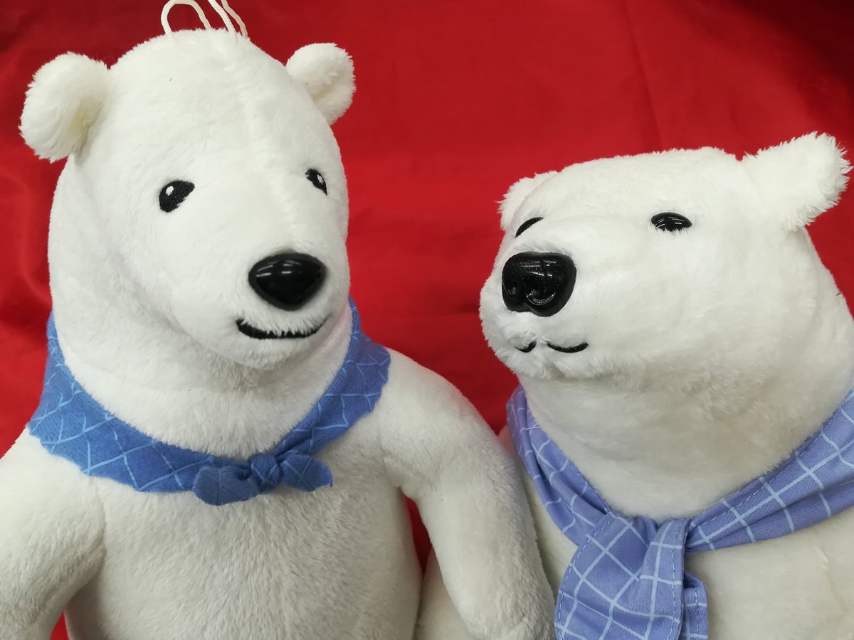 K Books キャラ館 少年まんが A Twitter 入荷情報 しろくまカフェ のぬいぐるみが入荷 モフモフ Kbooks 池袋 アニメ館 しろくまカフェ 動物 ぬいぐるみ