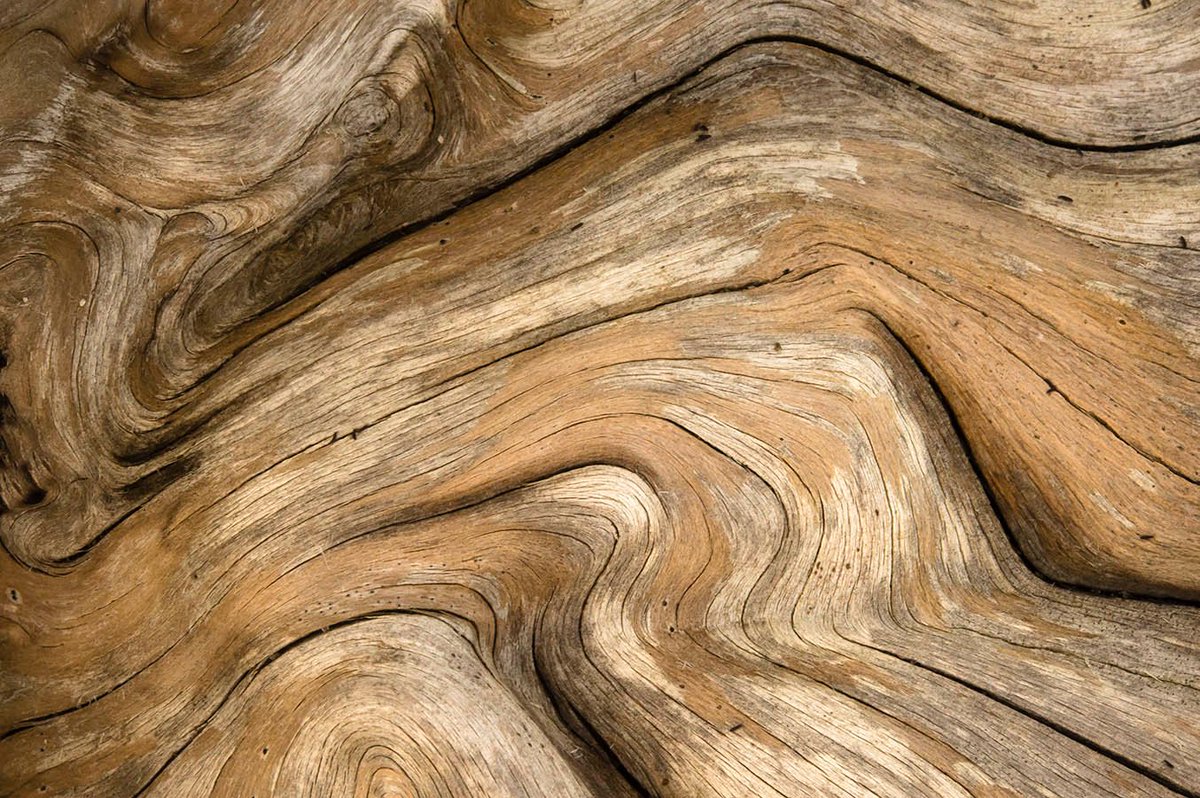 robstract33's tweet photo. 3 from the #beachwood series ... same as the #burntbeachwood series I like the #textures,#lines #shapes in these #images also ... can be described as #abstractphtography #blackandwhitephotography or #closeup &amp; #macro maybe even #minimalist ... https://t.co/4mR8PMkkdb