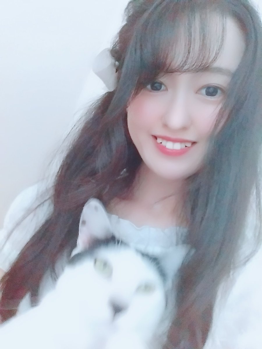 猫と結婚したい