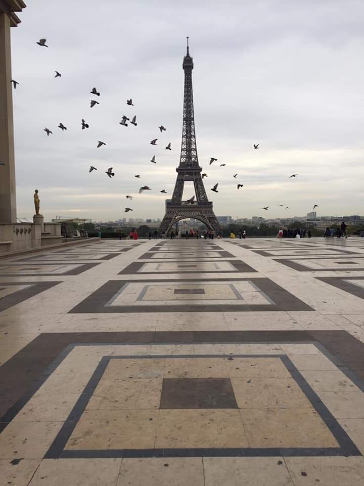 parisvisites's tweet photo. La Dame de Fer oui...mais le matin tôt avant les touristes... calme et sérénité (c)@carolecouvert #Paris #France #patrimoine #JEP2019 #histoire #tourisme #travel #travelphotography #parisjetaime https://t.co/JvWMhoINlm