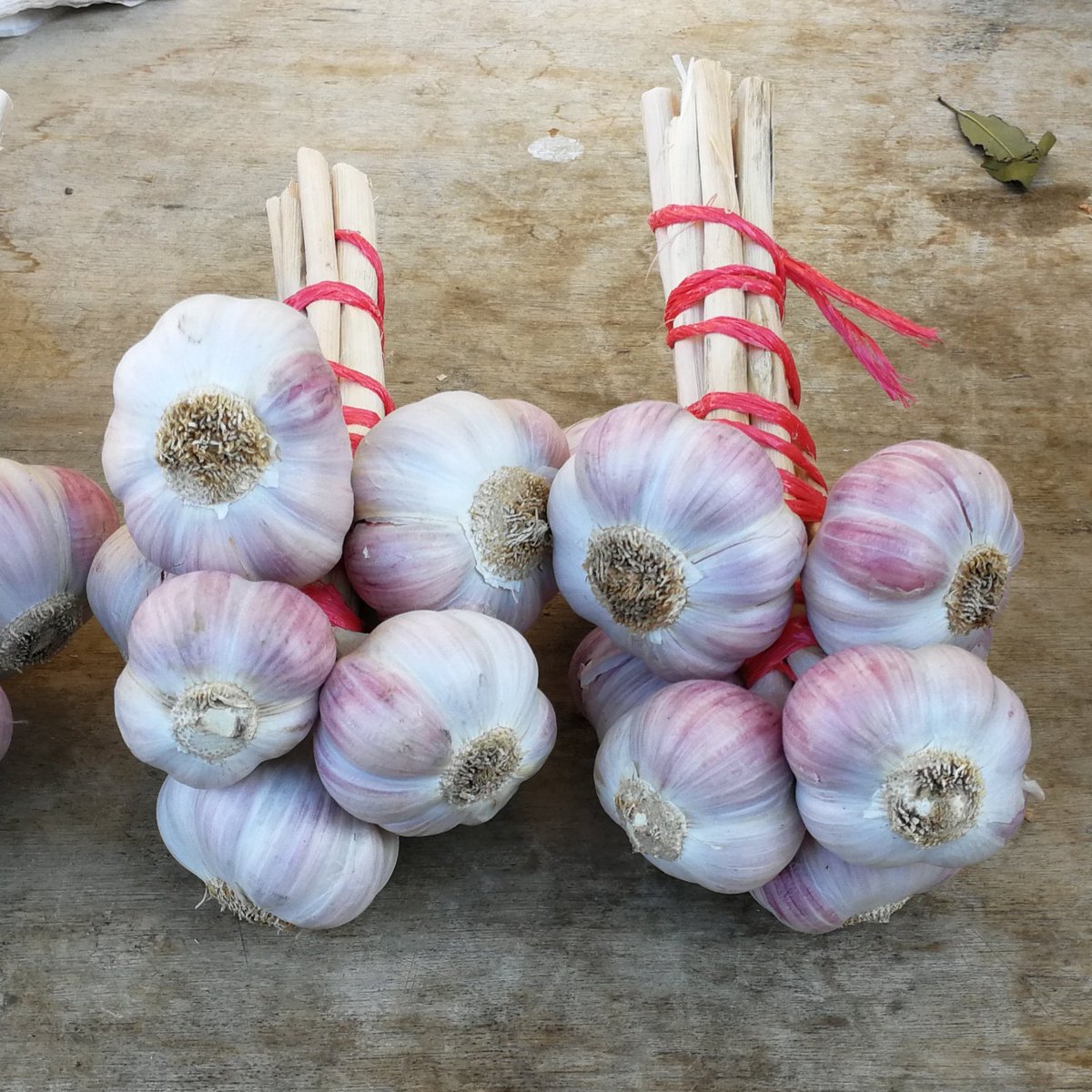 trottaround's tweet photo. The #Tarn département is famous for its pink garlic (ail rose), which has a Rouge/IGP label. It's grown around the lovely hill village of #Lautrec and is celebrated with a festival on the first weekend of August. #france #travel #frenchfood #rgontheroad #roughguides https://t.co/dNmvOq7xcW