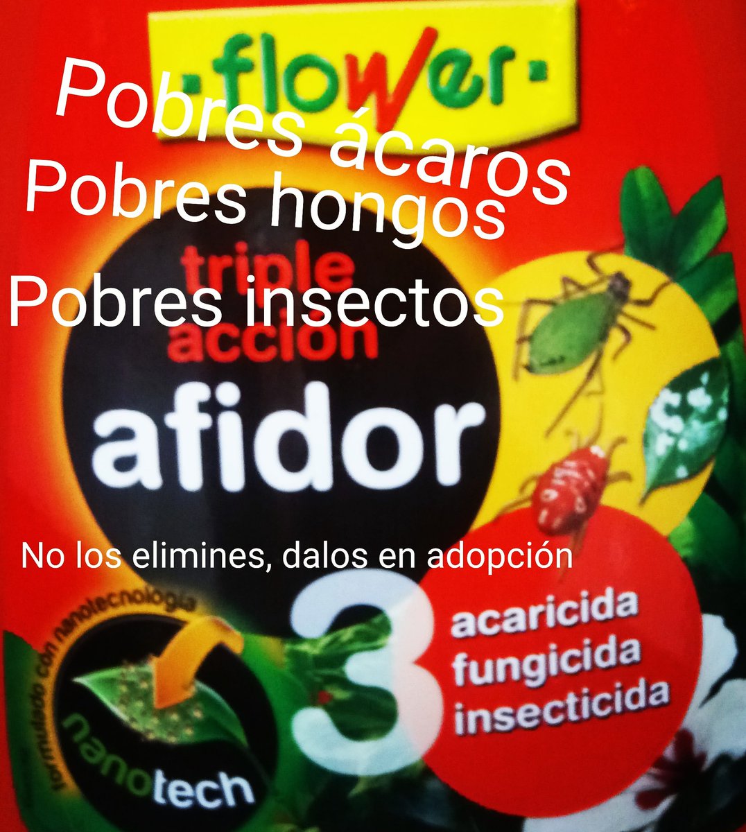 #vegan #veganlife #vegano #veganlifestile #veganismo #veganstile #veganismoporamor
instagram.com/p/B2Reh_DigqX/…