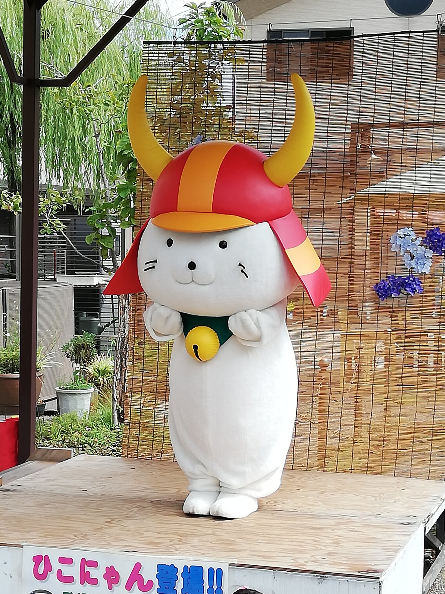 ひこにゃん可愛い Twitter Search Twitter