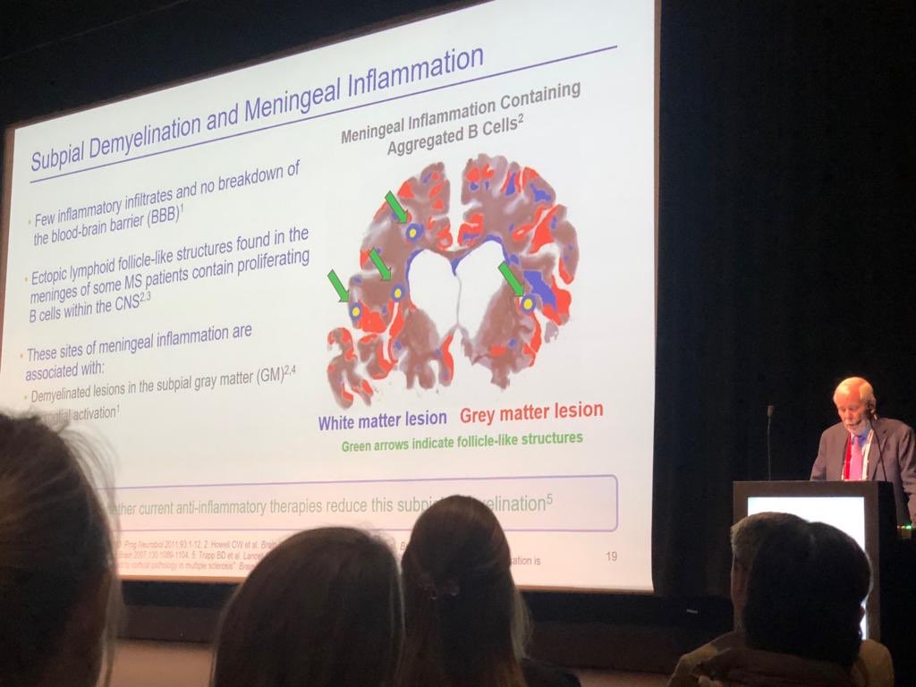 Luigi Montibeller tweet media