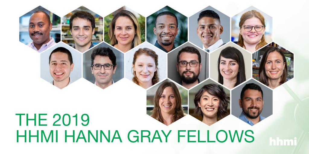 HHMI is excited to announce the selection of 15 exceptional early career scientists as 2019 #HannaGrayFellows to support #diversity in biomedical research: bit.ly/32HTYIX