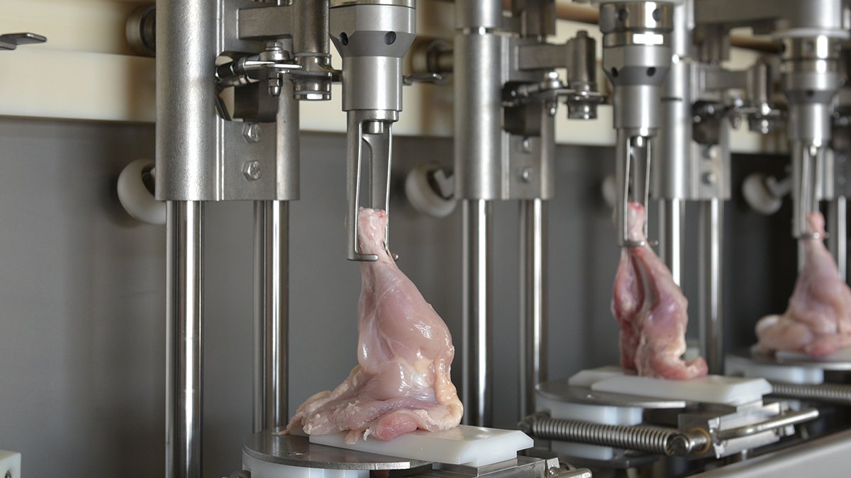 MeynPoultry's tweet image. The Meyn WLD whole leg deboner M3.0 processes left and right anatomical legs with or without skin at a maximum capacity of 4,200 legs per hour. Alongside significant reductions in labor, an unrivalled high and consistent yield is achievable without troublesome adjustments.
