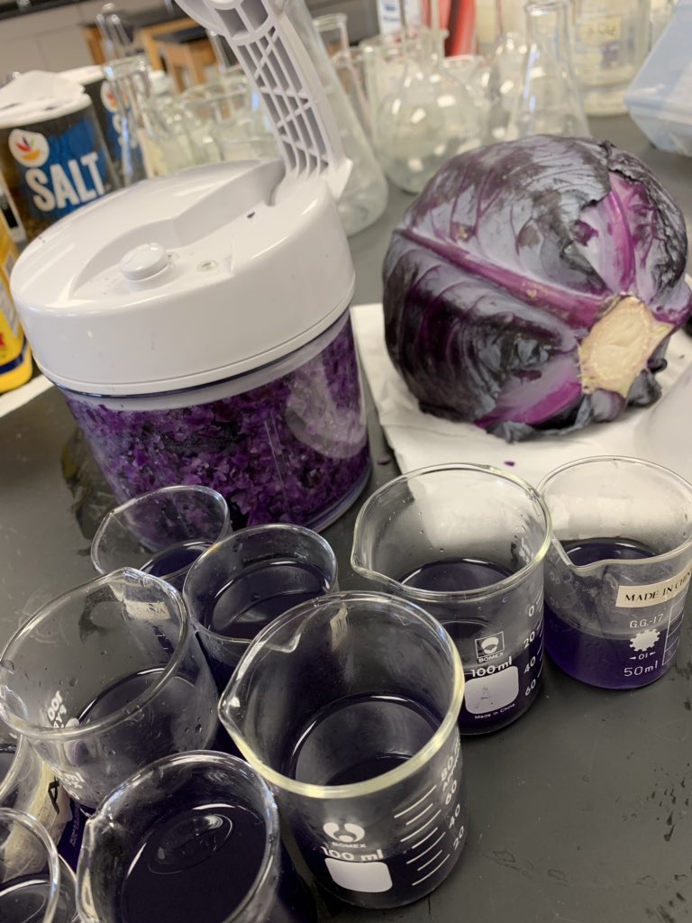 Sometimes learning stinks.