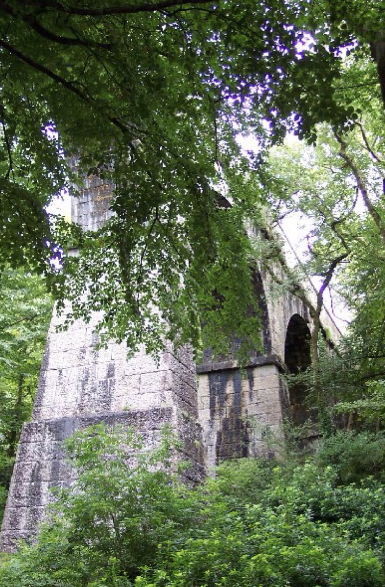 Tregongeeves Farm tweet media