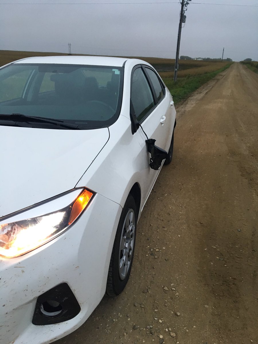 ComOptAshley's tweet image. Hope everyone else’s morning is better than mine. Thanks Amber for being an early riser! 1st reaction when I’m in an accident...call Amber. Uff. Deer 1. Ashley &amp;amp; Corolla 0. #hopingHParrivessoon ⁦@ComOptAmber⁩ ⁦@ComOptND⁩