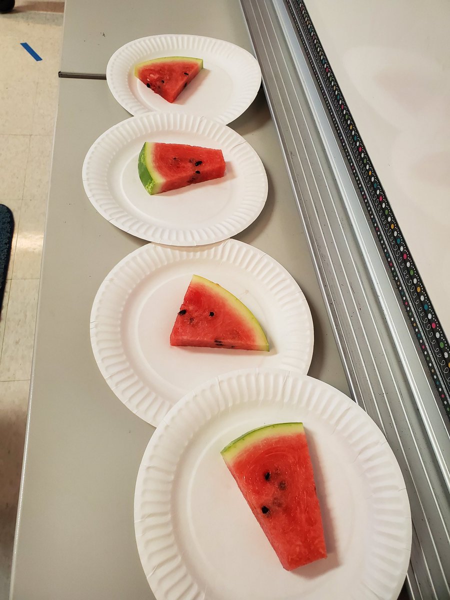 teacherschmidt6's tweet photo. What better way to teach about seed moments than to enjoy watermelon. These writer's have plenty of small moments to write about. #writersworkshop #RCSDchampions @rcsdfiddyment https://t.co/U1DvEvwfoF