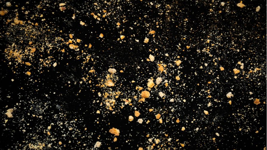 Media Buyers Should Start Preparing for a World Without Cookies performancein.com/news/2019/09/0…