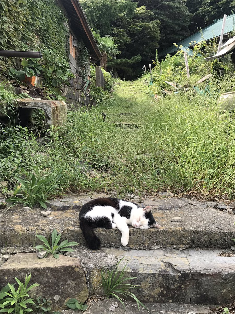 最後まで沢山遊んでもらいました 