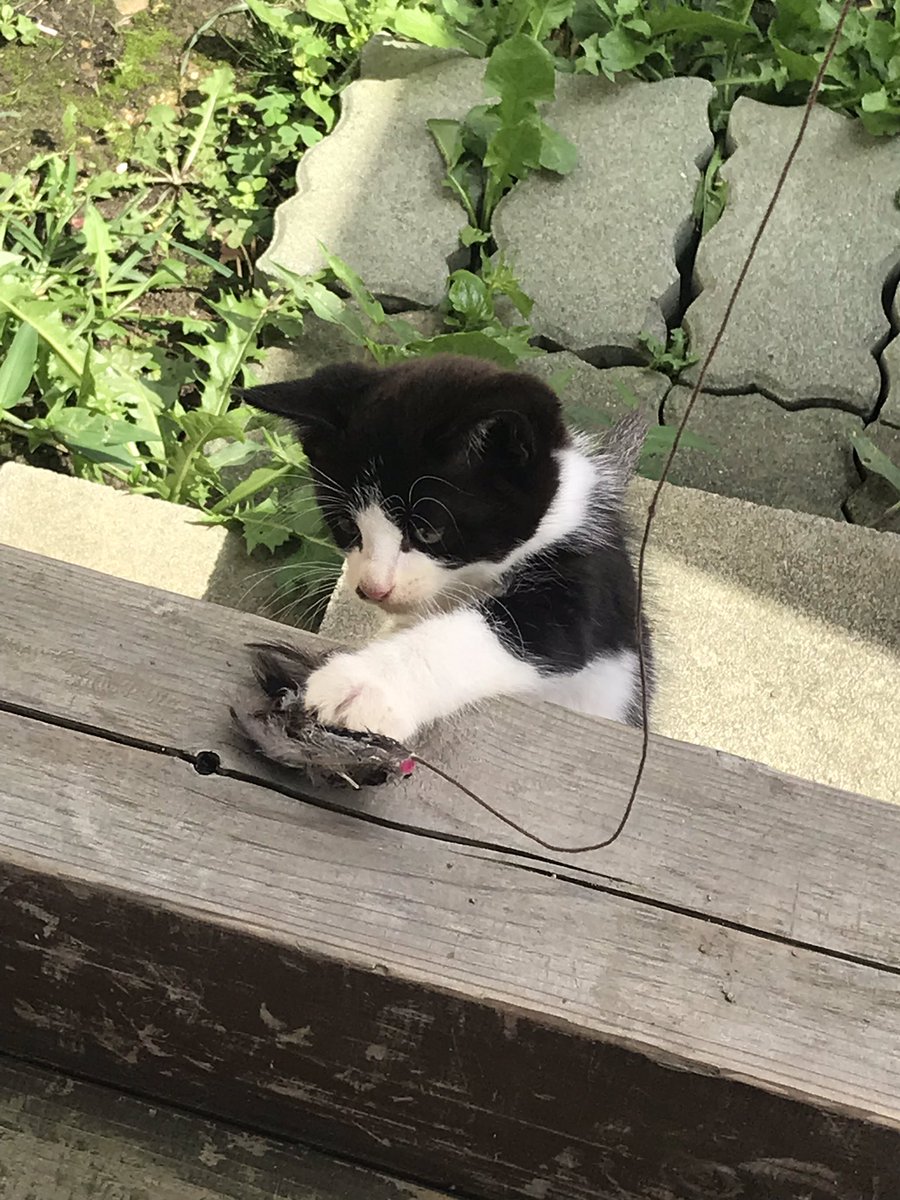 最後まで沢山遊んでもらいました 