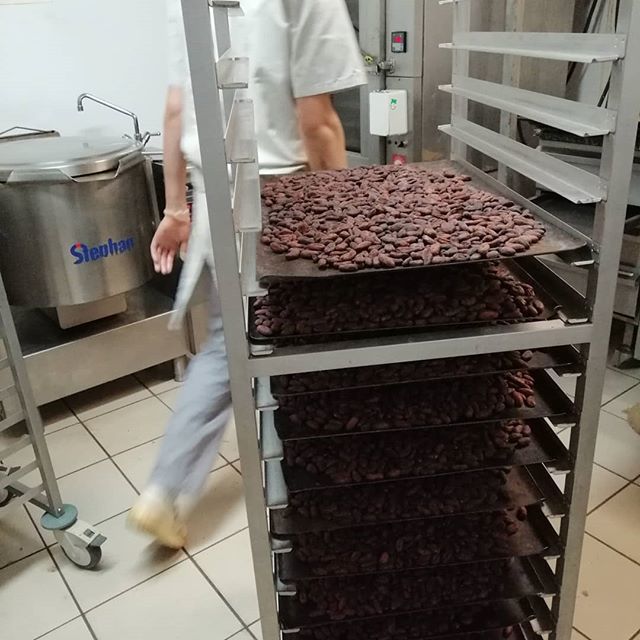 castelannechoco's tweet photo. https://t.co/dEU4yOAHcH https://t.co/Ofky2t1BJM