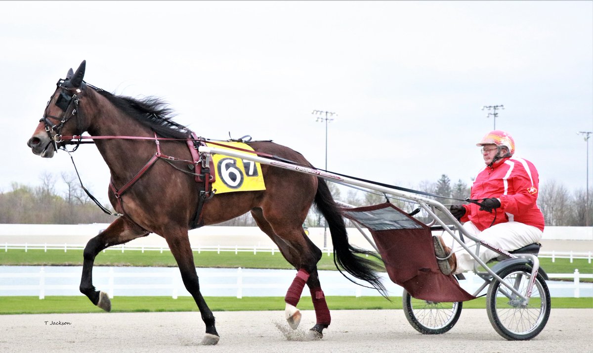 hoosiernations's tweet photo. GoodMorning @dolenski_john @bigticketbates @Chris_wponies @JoannKi32885615 @rebelsart @jtlburn @kimberlymoier @GlenPeckinpaugh @KathleenBaitzel @vnssa926 @joe_norte @elliotgordon2 @SadandSulk @INStandardbred @blongphee67 @tlvonline @HoP_Racing #InfinityStick #RandyRoth #PlayHP https://t.co/8JgCK7fLqi