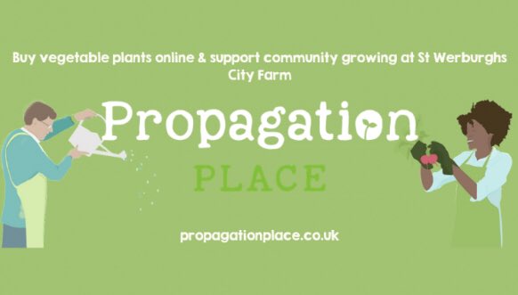 Please help support @StWerbsCityFarm by retweeting this, so that they can help secure some funding from the #cbchallenge. This will help buy equipment for propagation place which helps support their work in the local community. They are a charity inner city farm in Bristol.