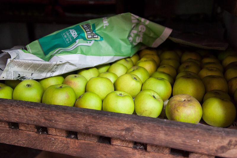 DalemainMansion's tweet image. The apples are ripening in the historic gardens! Bring your fruit to the #Harvest celebrations on 29th September and you can juice them with the Lakes Orchard Group!
#apples #fruit #Harvest 🍏