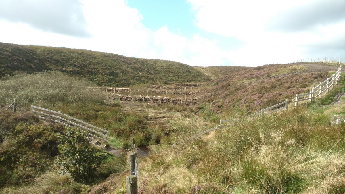 @ChrisCWFC <a href="/WoodlandTrust/">WoodlandTrust</a> Some of yesterday mornings high flows seem to have been held. <a href="/Hazel_Phill/">Hazel Phillips</a> investigating through an <a href="/EPSRC/">Engineering and Physical Sciences Research Council</a> internship with <a href="/livunigeog/">livunigeog</a>. Funding from <a href="/EnvAgencyNW/">Env Agency NW</a> and #HLF, with <a href="/PownallJames/">James Pownall</a> building