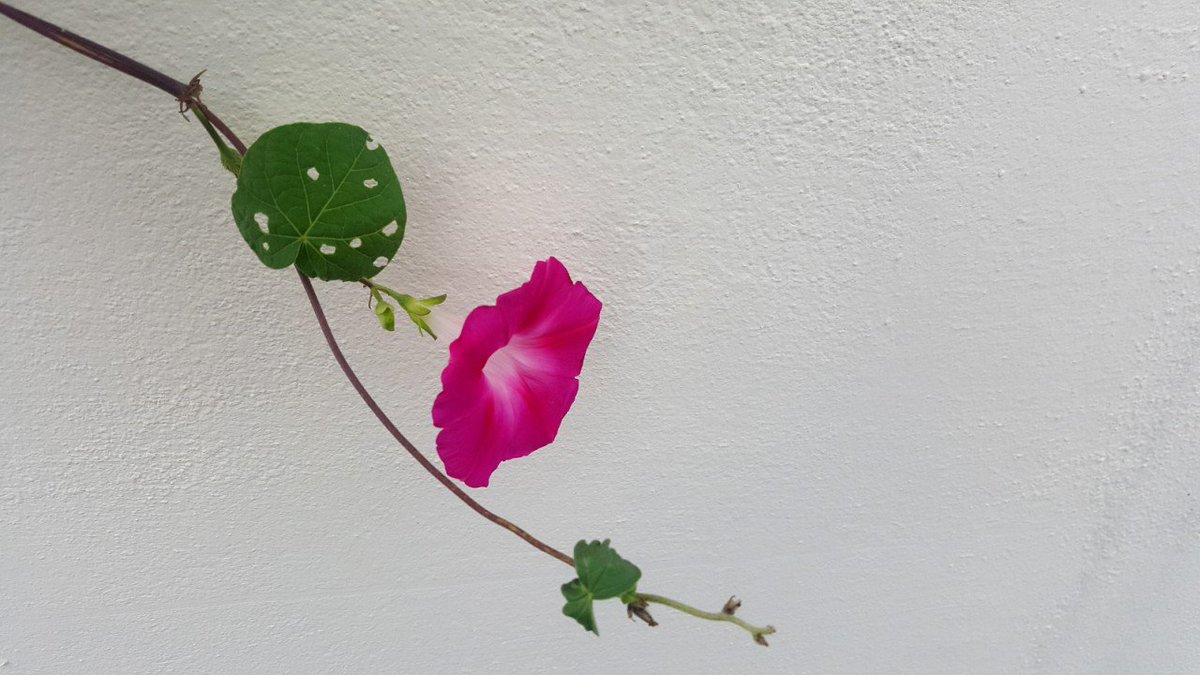 여유와풍요로움이가득한 
추석명절되시고 
고향의 포근함을 가슴에 
가득품고 오시길요