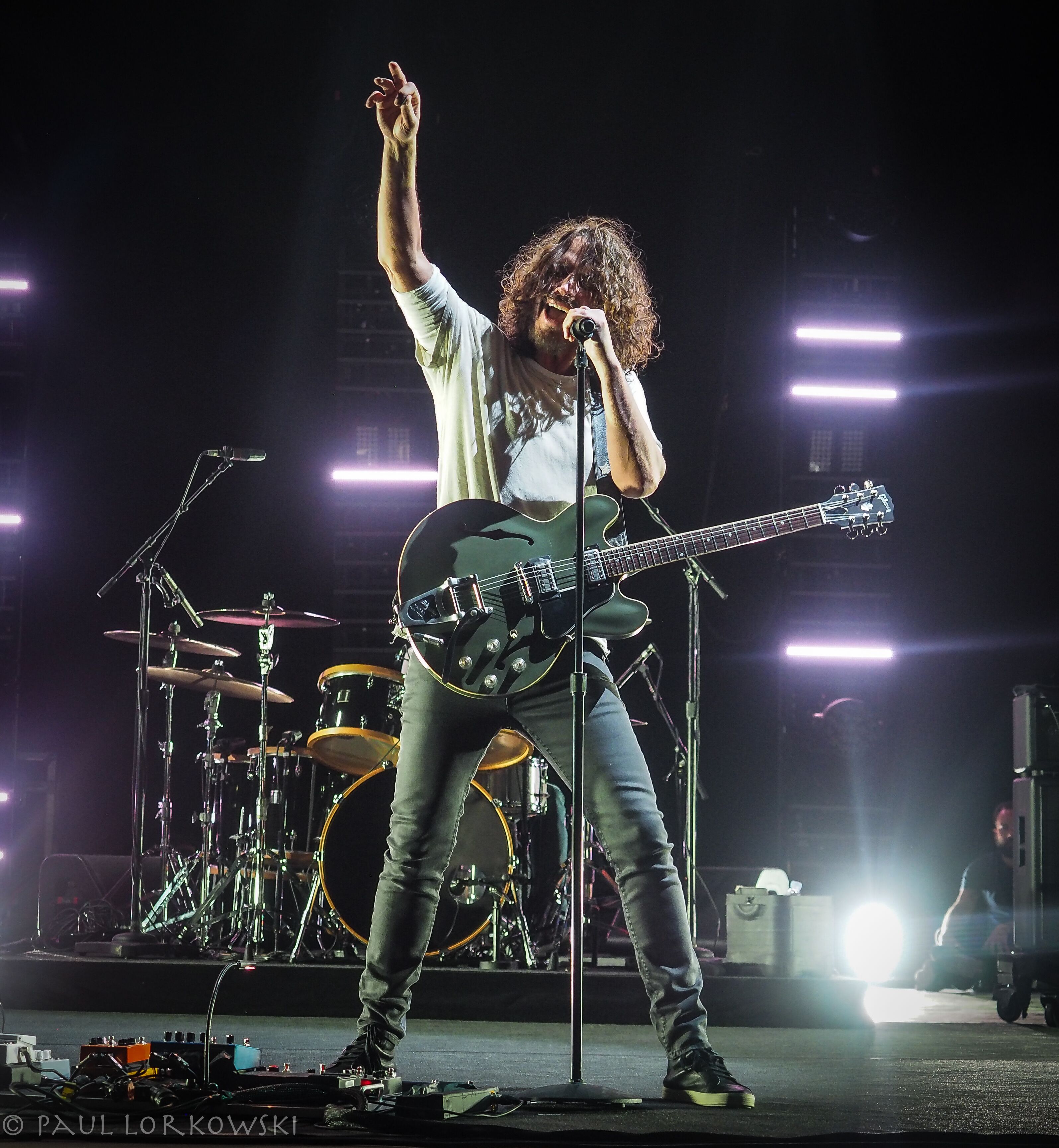 ゴリッパ Gibson Chris Cornell Tribute ES-335 - Satin Olive Drab Green