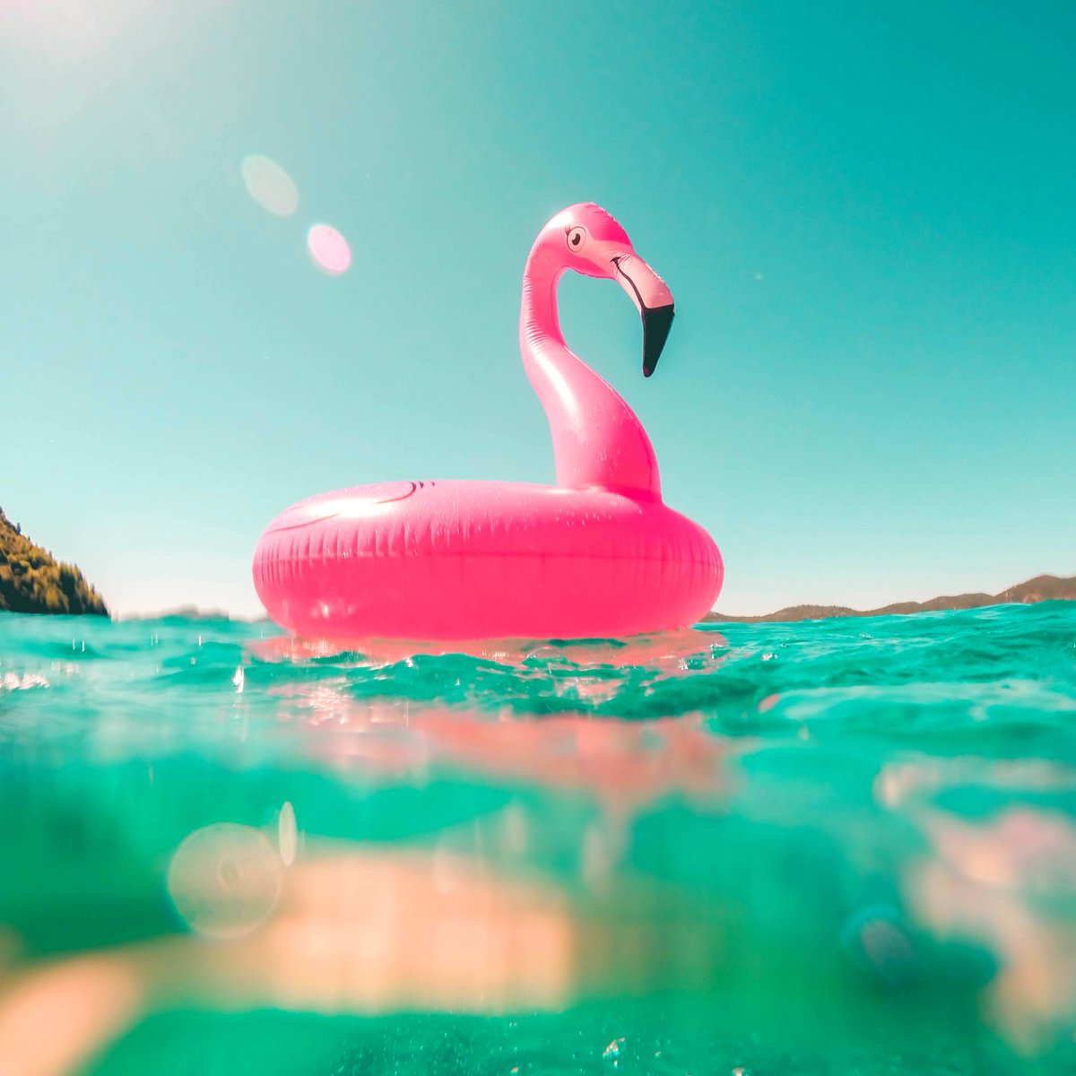 The_Shareable's tweet photo. Floating towards Friday ππ
Check out our blog on the BEST platforms for your business for some light Thursday morning reading! https://t.co/UVygVHLLYL
#contentmarketing #socialmediamarketing #socialmedia #shareable #beshareable #blogger #socialmediatips https://t.co/cQ519P8RQ0