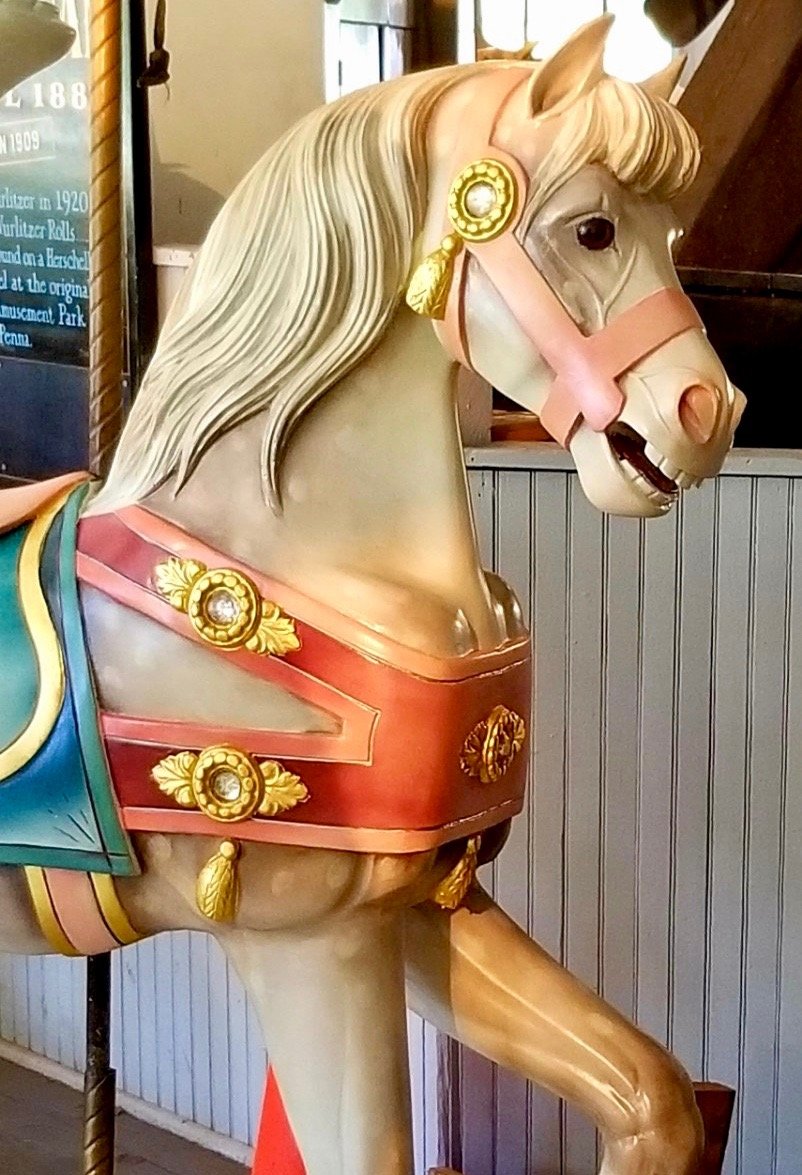 RINewsToday's tweet photo. Grand opening of the newly refurbished Looff Carousel At Slater Park...Friday at 6pm, Slater Park Carousel

#Looff #carousel #Pawtucket  

Here: https://t.co/0XRpC3Qq5h https://t.co/Umd8KeVrbP