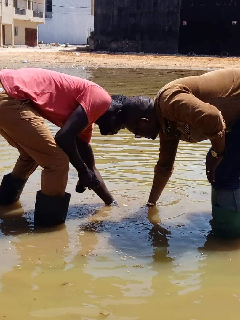 MouhamadouFade8's tweet photo. #jef_dafa_gueun_ay_wax
Notre frère et Camarade massogui Sylla au chevet des populations touchées par les inondations pour apporter son soutien !
👉Ce jeudi entre 13h 15h il serai à sicap mbao pour apporter son soutien financier et moral. https://t.co/ot4KlqFdux